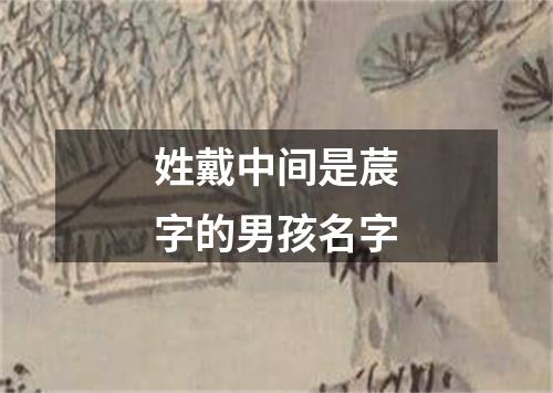 姓戴中间是莀字的男孩名字