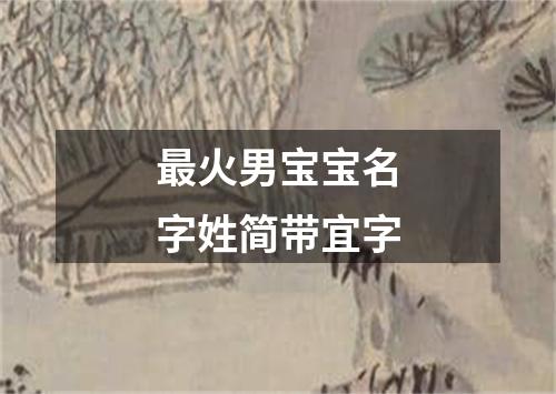 最火男宝宝名字姓简带宜字