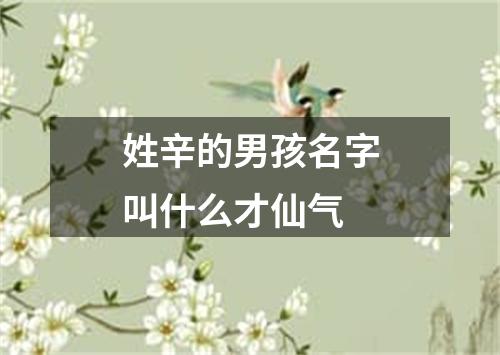 姓辛的男孩名字叫什么才仙气