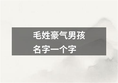 毛姓豪气男孩名字一个字