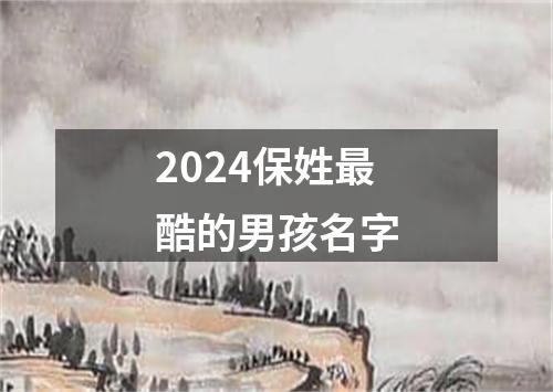 2024保姓最酷的男孩名字