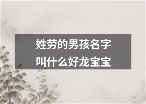 姓劳的男孩名字叫什么好龙宝宝