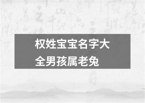 权姓宝宝名字大全男孩属老兔