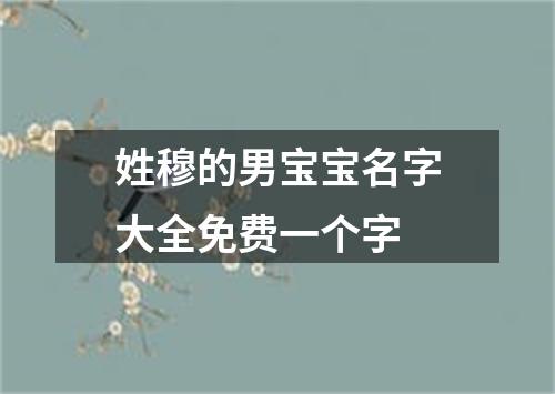 姓穆的男宝宝名字大全免费一个字