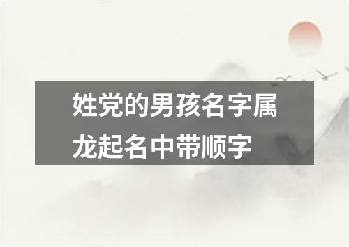 姓党的男孩名字属龙起名中带顺字