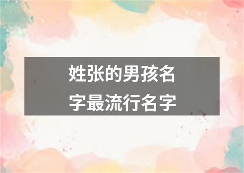 姓张的男孩名字最流行名字