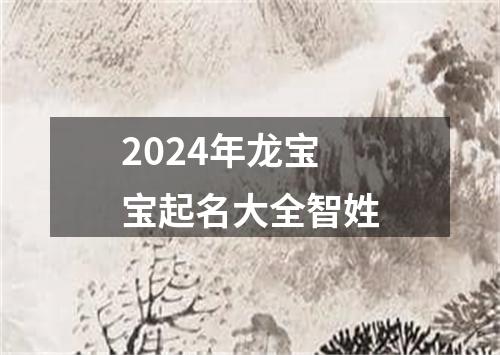 2024年龙宝宝起名大全智姓