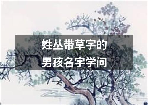 姓丛带草字的男孩名字学问