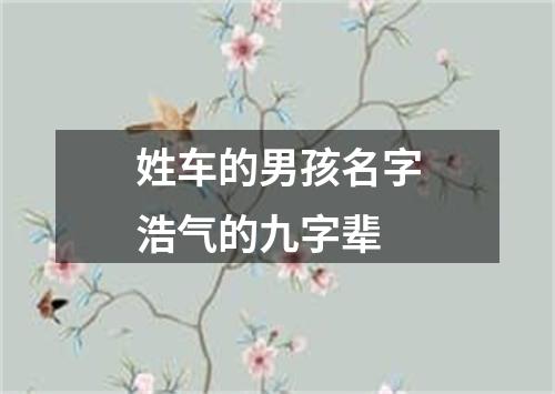 姓车的男孩名字浩气的九字辈