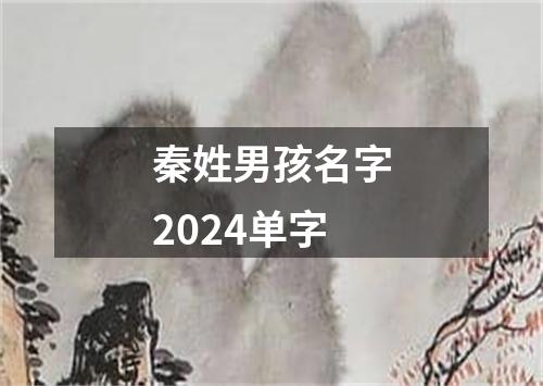 秦姓男孩名字2024单字