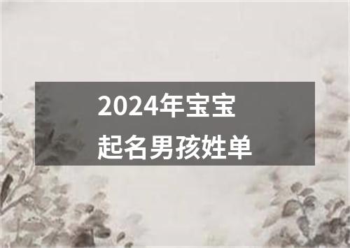 2024年宝宝起名男孩姓单