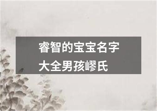 睿智的宝宝名字大全男孩嵺氏