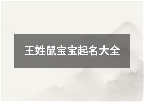 王姓鼠宝宝起名大全