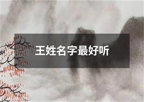 王姓名字最好听