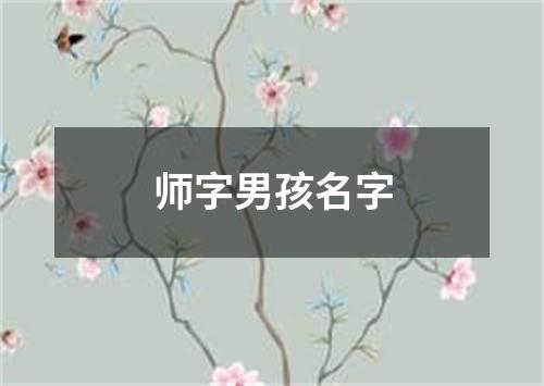 师字男孩名字