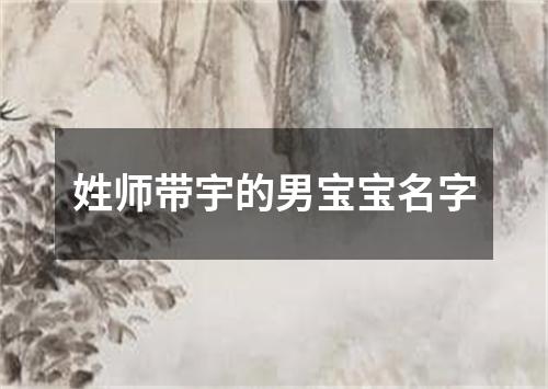 姓师带宇的男宝宝名字