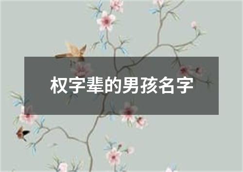 权字辈的男孩名字