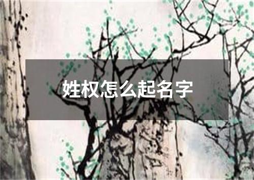 姓权怎么起名字