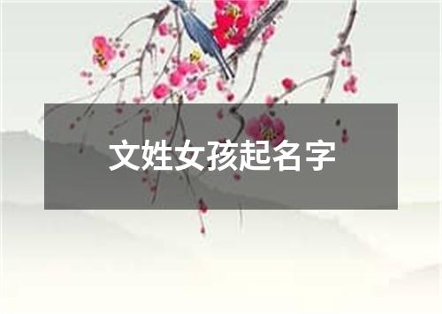 文姓女孩起名字