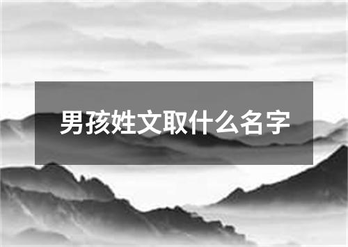 男孩姓文取什么名字