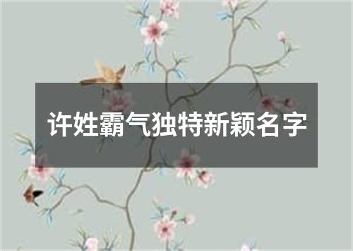 许姓霸气独特新颖名字