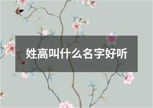 姓高叫什么名字好听