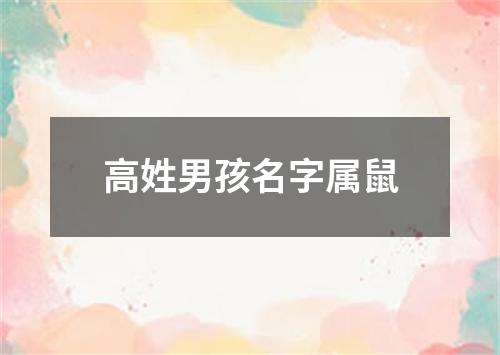 高姓男孩名字属鼠