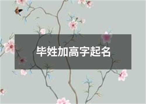 毕姓加高字起名