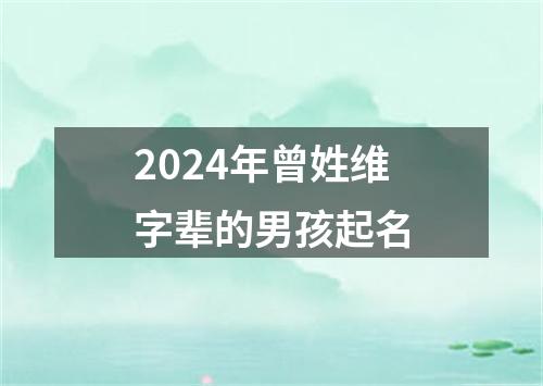 2024年曾姓维字辈的男孩起名