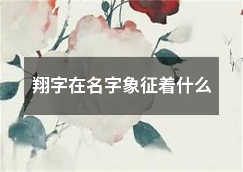 翔字在名字象征着什么