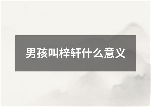 男孩叫梓轩什么意义