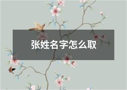 张姓名字怎么取