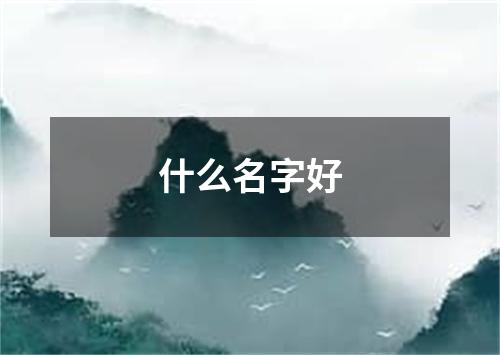 什么名字好