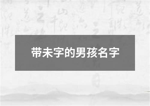 带未字的男孩名字