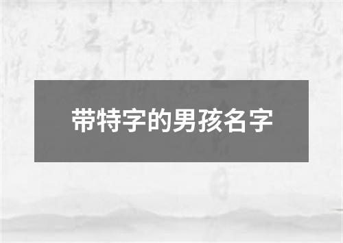 带特字的男孩名字