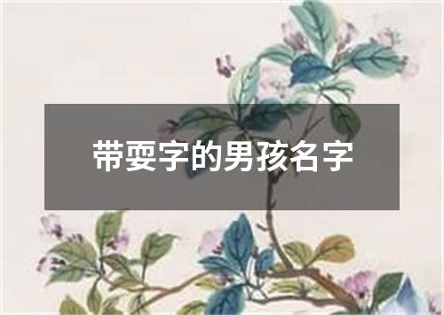 带耍字的男孩名字