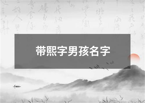 带熙字男孩名字