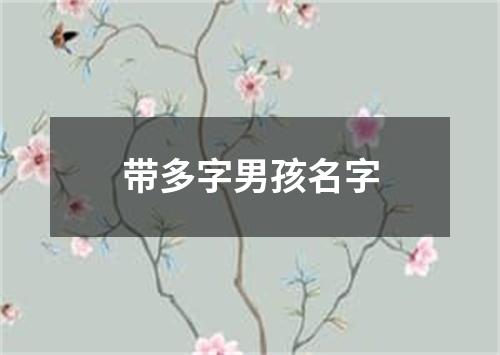 带多字男孩名字