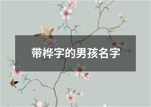 带桦字的男孩名字