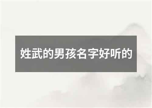 姓武的男孩名字好听的