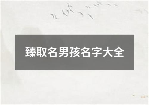 臻取名男孩名字大全