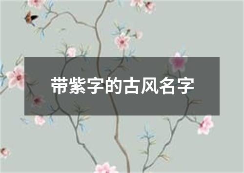 带紫字的古风名字