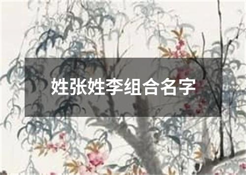 姓张姓李组合名字