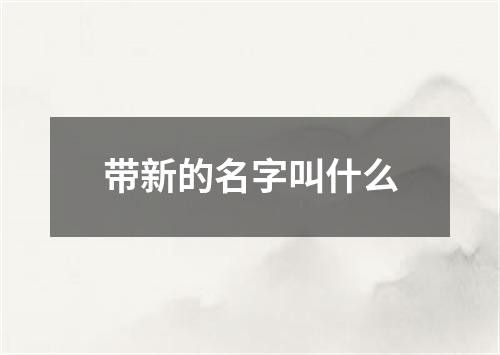 带新的名字叫什么