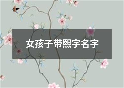 女孩子带熙字名字