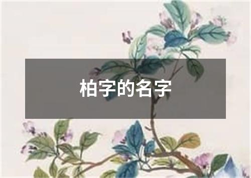 柏字的名字