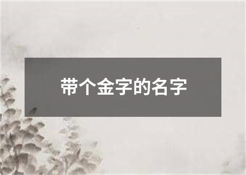 带个金字的名字