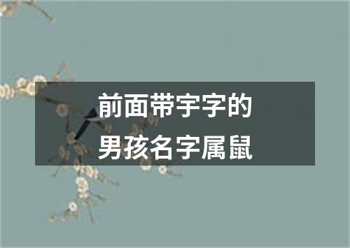 前面带宇字的男孩名字属鼠