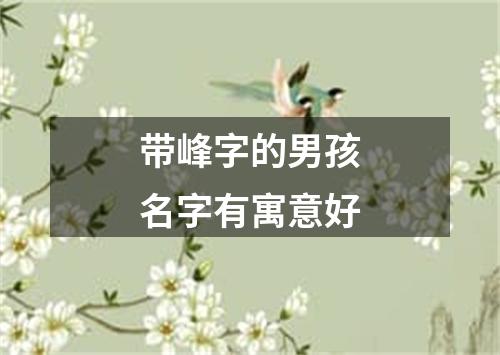 带峰字的男孩名字有寓意好