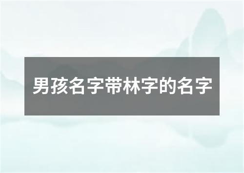 男孩名字带林字的名字